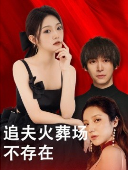短剧《追夫火葬场不存在（100集全）》免费观看-第1张图片-力界网
