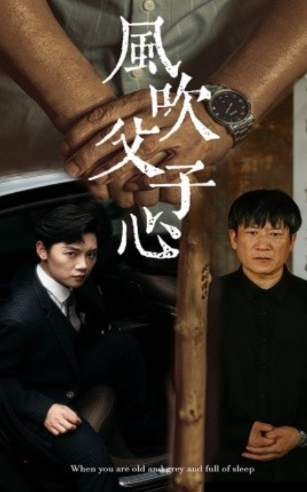 短剧《风吹父子心（65集全）》免费观看-第1张图片-力界网