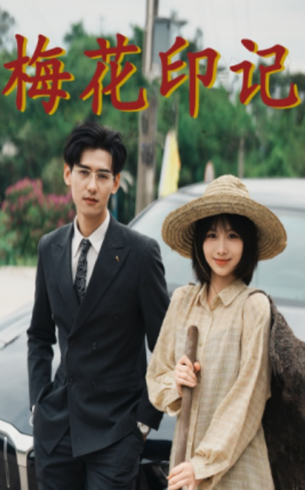 短剧《梅花印记（48集全）》免费观看-第1张图片-力界网