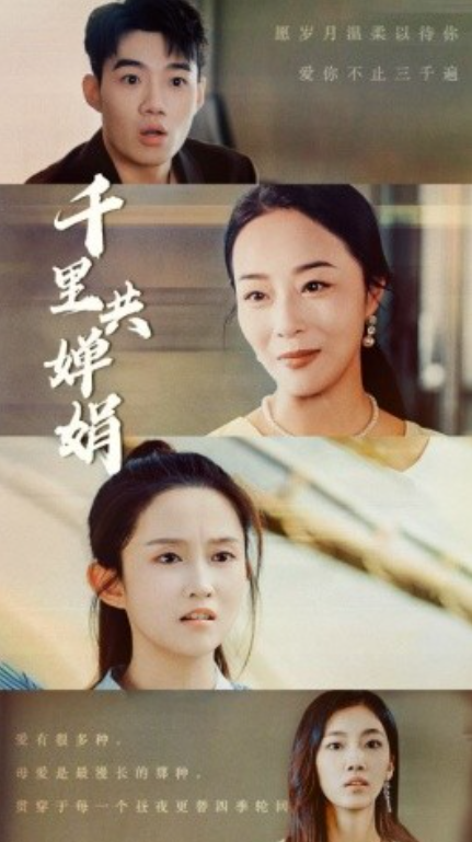 短剧《千里共婵娟（64集全）》免费观看-第1张图片-力界网