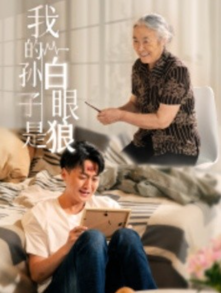 短剧《我的孙子是白眼狼（44集全）》免费观看-第1张图片-力界网