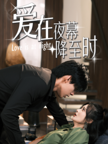 短剧《爱在夜幕降至时（73集全）》免费观看-第1张图片-力界网
