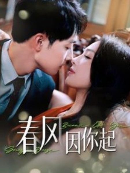 短剧《春风因你起（95集全）》免费观看-第1张图片-力界网