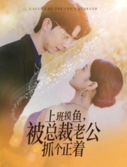 短剧《上班摸鱼，被总裁老公抓个正着（60集全）》免费观看-第1张图片-力界网