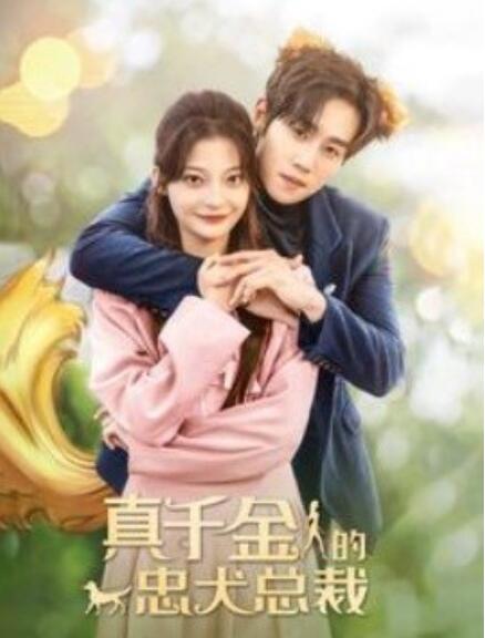 短剧《真千金的忠犬总裁（74集全）》免费观看-第1张图片-力界网