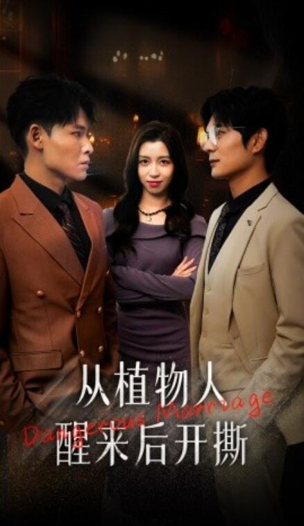 短剧《从植物人醒来后开撕（77集全）》免费观看-第1张图片-力界网