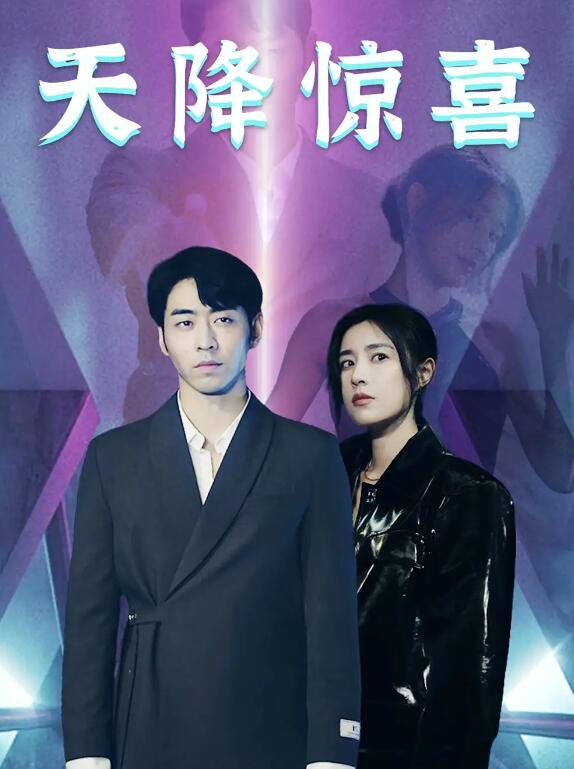 短剧《天降惊喜（71集全）》免费观看-第1张图片-力界网