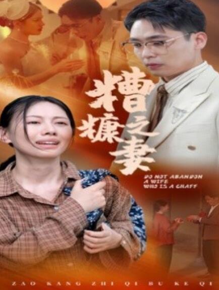 短剧《糟糠之妻（45集全）》免费观看-第1张图片-力界网