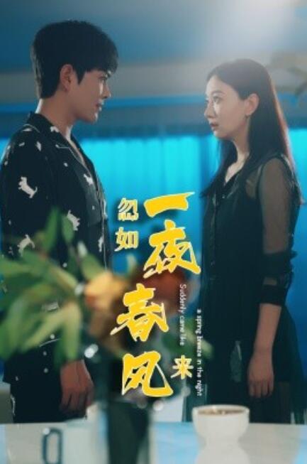 短剧《忽如一夜春风来（28集全）》免费观看-第1张图片-力界网