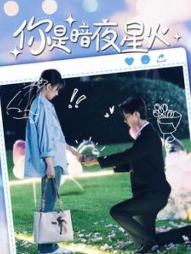 短剧《你是暗夜星火（120集全）》免费观看-第1张图片-力界网
