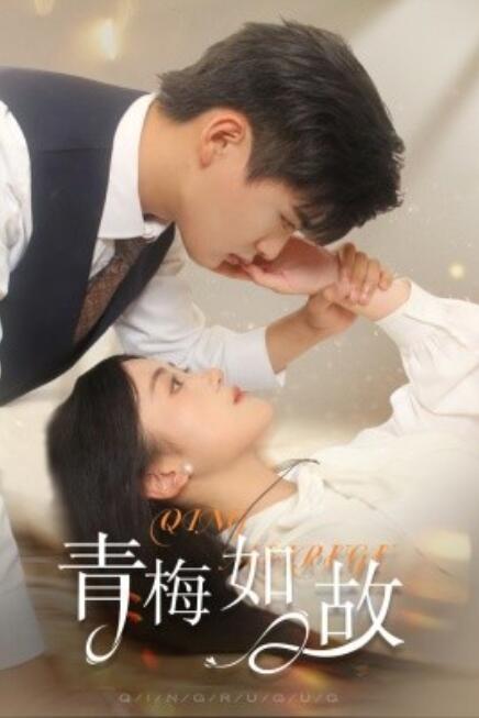 短剧《青梅如故（恰似旧人来）61集全》免费观看-第1张图片-力界网