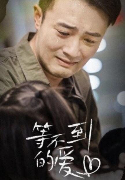 短剧《等不到的爱（40集全）》免费观看-第1张图片-力界网