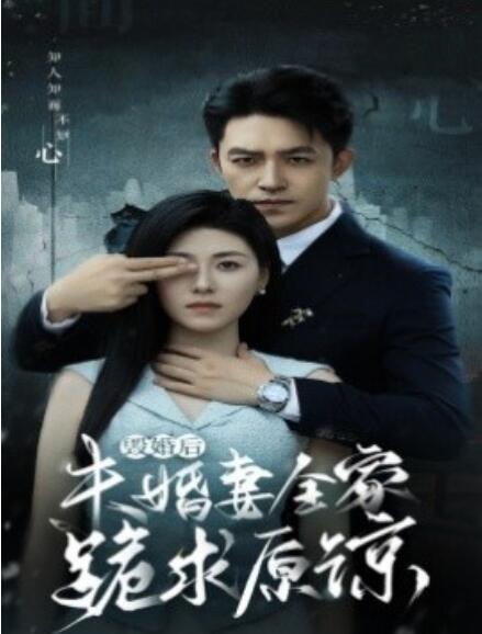 短剧《毁婚后未婚妻全家跪求原谅（30集全）》免费观看-第1张图片-力界网
