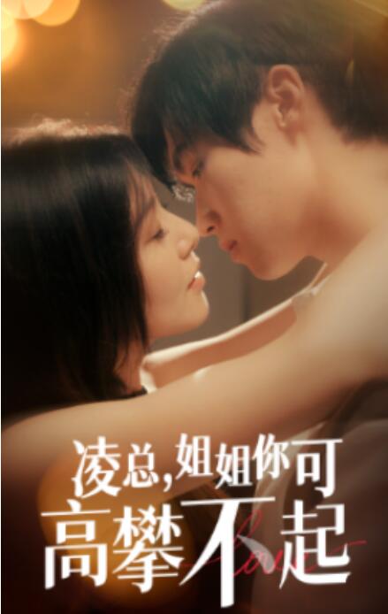 短剧《凌总姐姐你可高攀不起（32集全）》免费观看-第1张图片-力界网