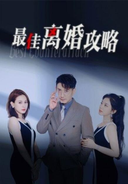 短剧《最佳离婚攻略（31集全）》免费观看-第1张图片-力界网
