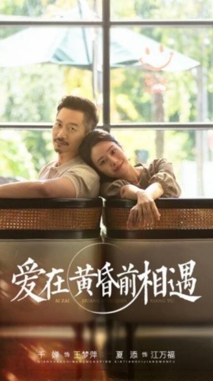 短剧《爱在黄昏前相遇（65集全）》免费观看-第1张图片-力界网