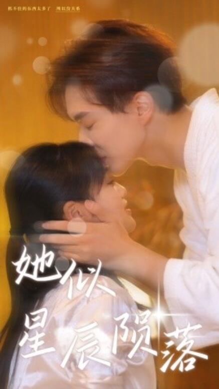 短剧《她似星辰陨落（90集全）》免费观看-第1张图片-力界网