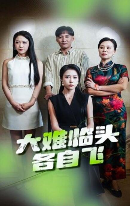 短剧《大难临头各自飞（66集全）》免费观看-第1张图片-力界网