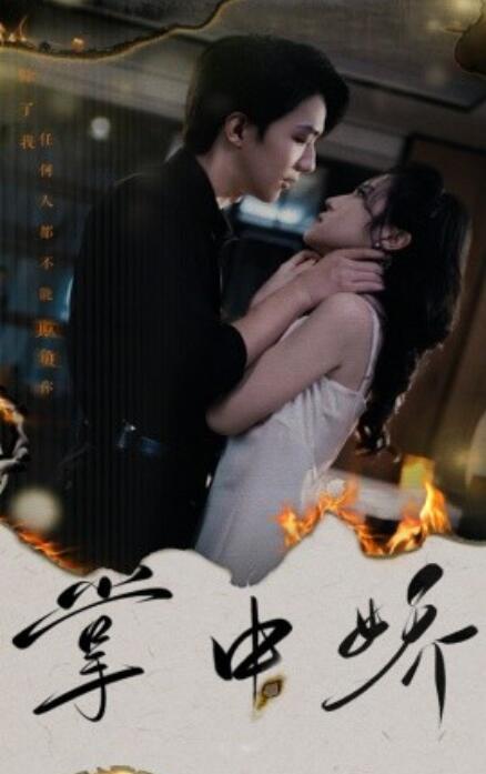 短剧《掌中娇（70集全）》免费观看-第1张图片-力界网