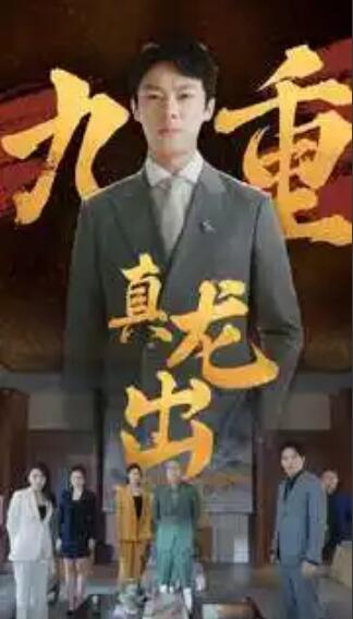 短剧《九重真龙出（人中之龙）98集全》免费观看-第1张图片-力界网