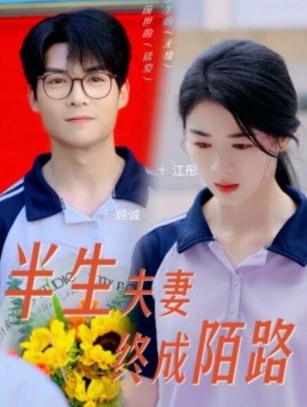 短剧《半生夫妻终成陌路（60集全）》免费观看-第1张图片-力界网