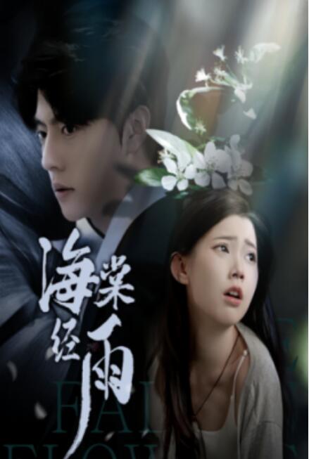 短剧《海棠经雨（95集全）》免费观看-第1张图片-力界网