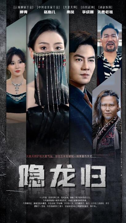 短剧《隐龙归（80集全）》免费观看-第1张图片-力界网