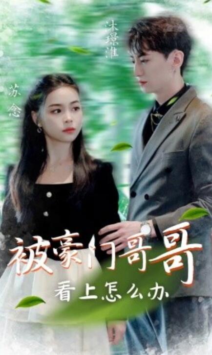 短剧《被豪门哥哥看上怎么办（30集全）》免费观看-第1张图片-力界网