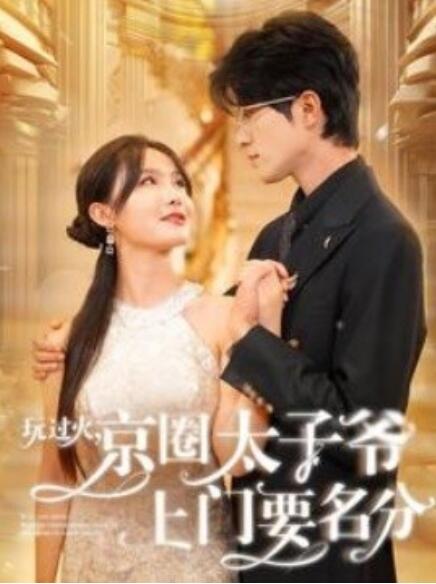 短剧《玩过火，京圈太子爷上门要名分（97集全）》免费观看-第1张图片-力界网