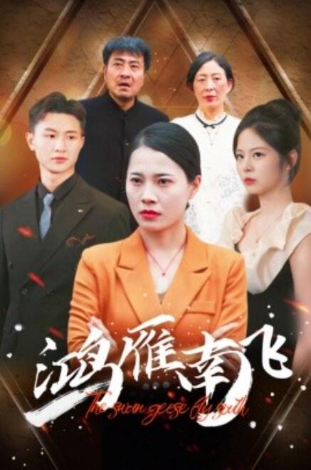 短剧《鸿雁南飞（64集全）》免费观看-第1张图片-力界网