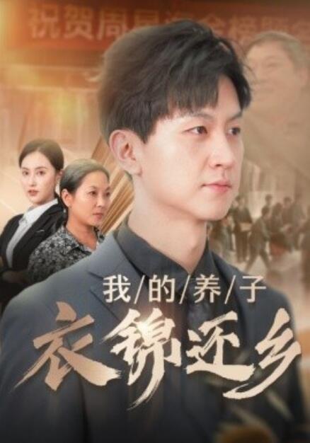 短剧《我的养子衣锦还乡（74集全）》免费观看-第1张图片-力界网