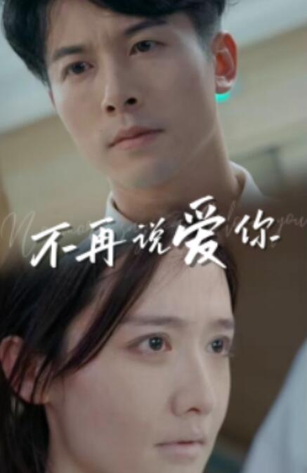 短剧《不再说爱你（40集全）》免费观看-第1张图片-力界网