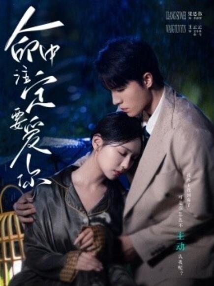 短剧《命中注定要爱你（73集全）》免费观看-第1张图片-力界网