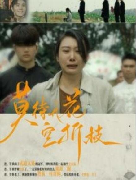 短剧《莫待无花空折枝（75集全）》免费观看-第1张图片-力界网