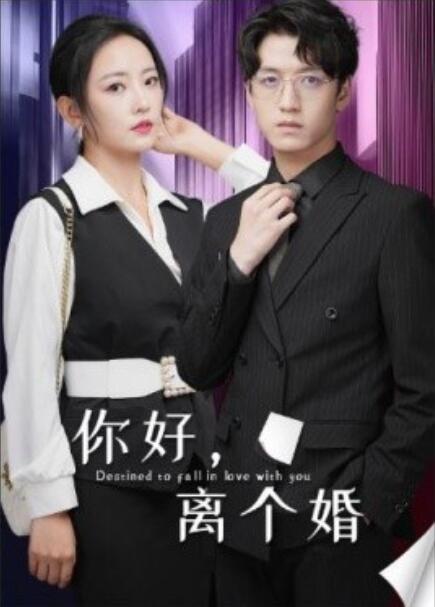 短剧《你好，离个婚（30集全）》免费观看-第1张图片-力界网