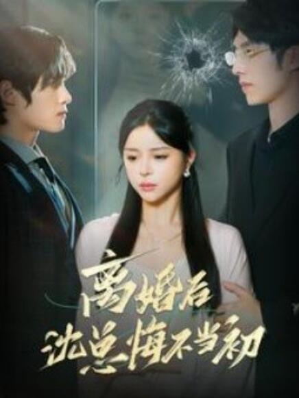 短剧《离婚后沈总悔不当初（98集全）》免费观看-第1张图片-力界网