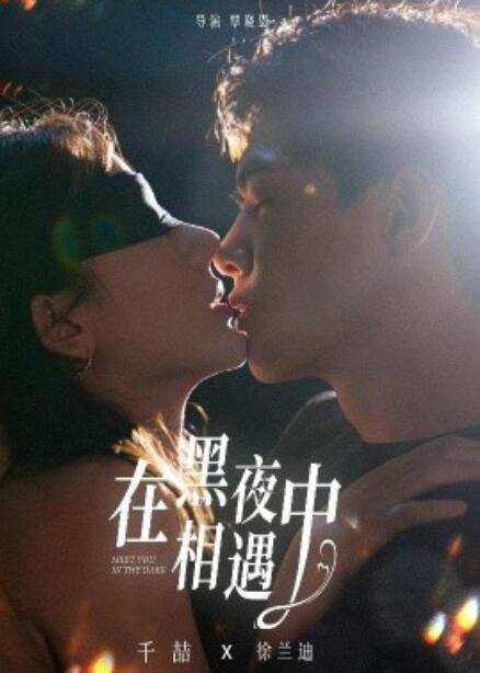 短剧《在黑夜中相遇（32集全）》免费观看-第1张图片-力界网