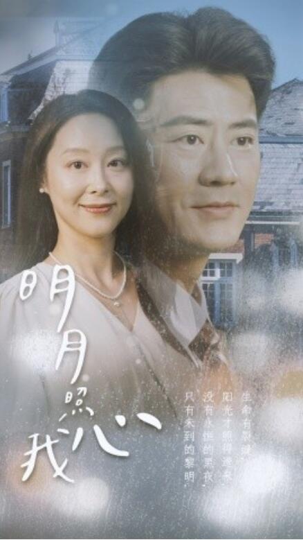 短剧《明月照我心（80集全）》免费观看-第1张图片-力界网