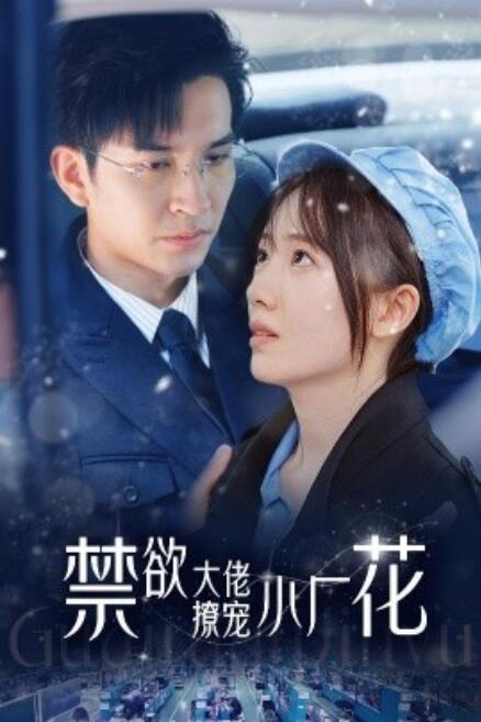 短剧《禁欲大佬撩宠小厂花（小可怜靠生子宠冠电子厂）54集全》免费观看-第1张图片-力界网