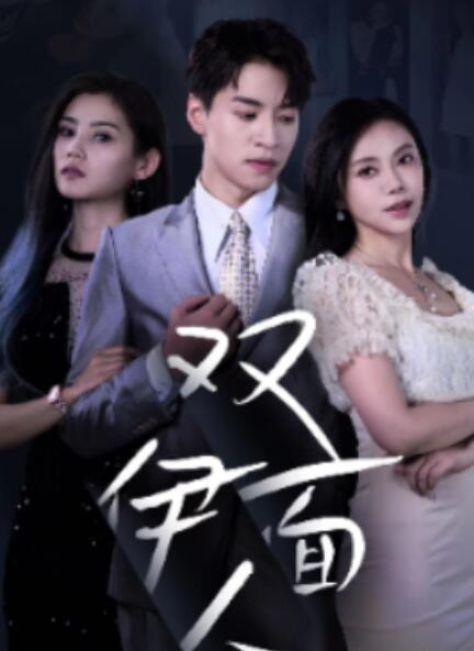 短剧《双面伊人（34集全）》免费观看-第1张图片-力界网