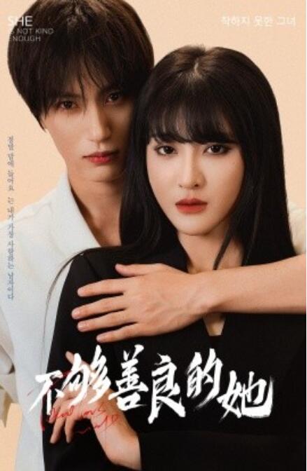 短剧《不够善良的她（40集全）》免费观看-第1张图片-力界网
