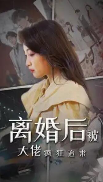 短剧《离婚后被大佬疯狂追求（69集全）》免费观看-第1张图片-力界网