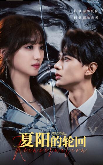 短剧《夏阳的轮回（85集全）》免费观看-第1张图片-力界网