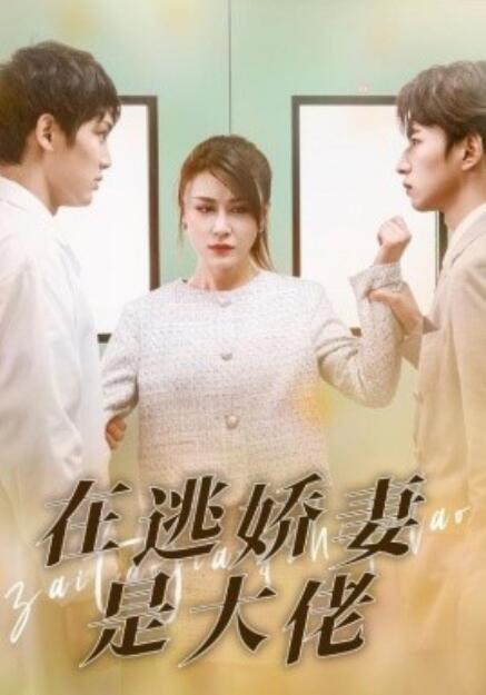 短剧《在逃娇妻是大佬（77集全）》免费观看-第1张图片-力界网