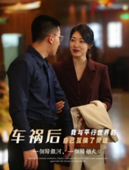短剧《车祸后我与平行世界的自己互换了灵魂（84集全）》免费观看-第1张图片-力界网