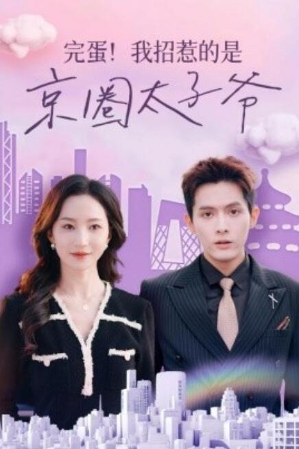 短剧《完蛋！我招惹的是京圈太子爷（70集全）赵慧楠》免费观看-第1张图片-力界网