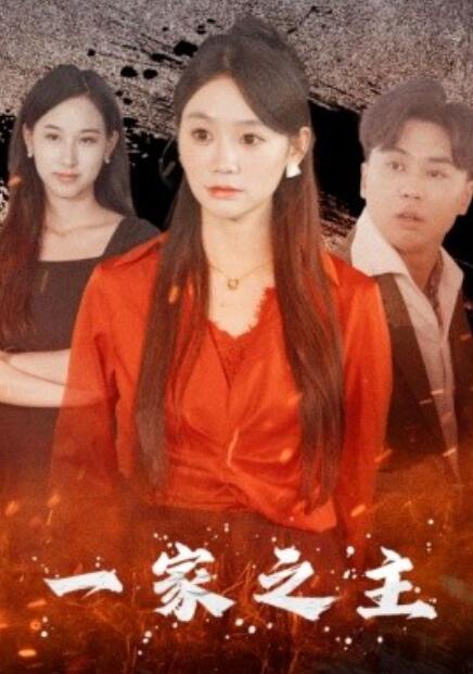 短剧《一家之主（35集全）》免费观看-第1张图片-力界网