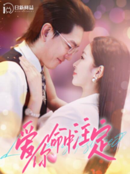短剧《爱你命中注定（99集全）》免费观看-第1张图片-力界网