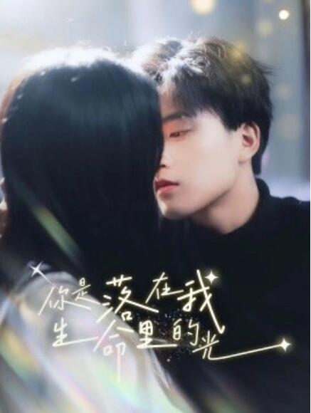 短剧《你是落在我生命里的光（68集全）》免费观看-第1张图片-力界网