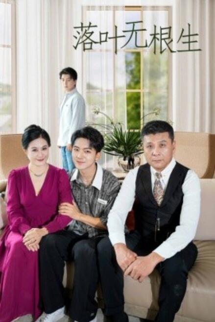 短剧《落叶无根生（45集全）》免费观看-第1张图片-力界网